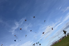 IMG_2610