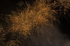 IMG_2669